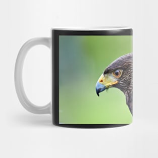 Harris Hawk Mug